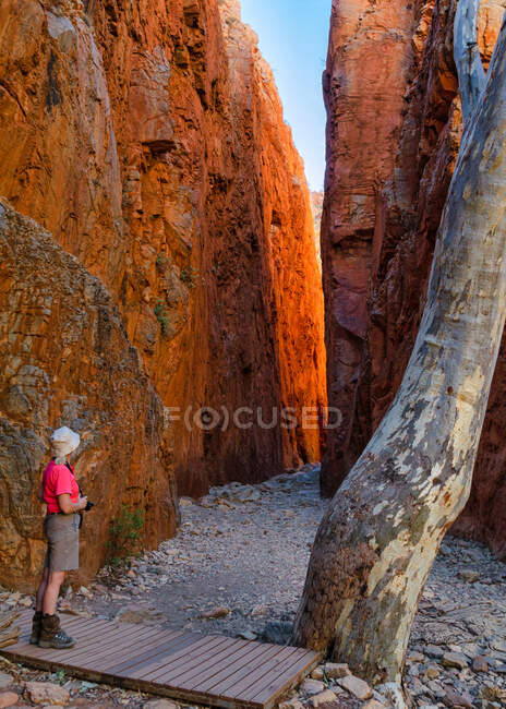 Reisenden in Standley Chasm, West MacDonnell National Park, Northern Territory, Australien — Stockfoto