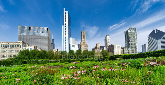Vistas al horizonte desde Lurie Garden, Chicago, Illinois, Estados Unidos - foto de stock