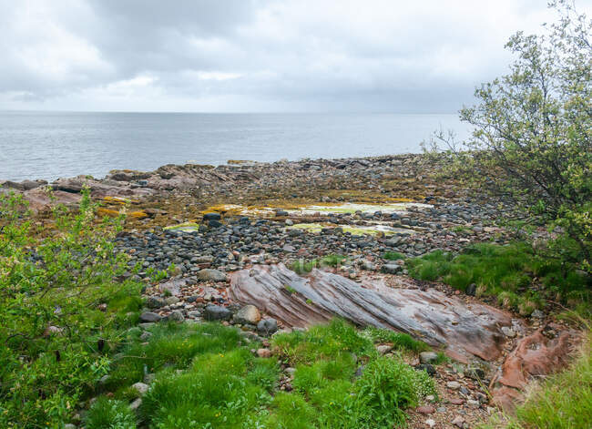 Береговая линия Роки, остров Арран, Шотландия, Великобритания — стоковое фото