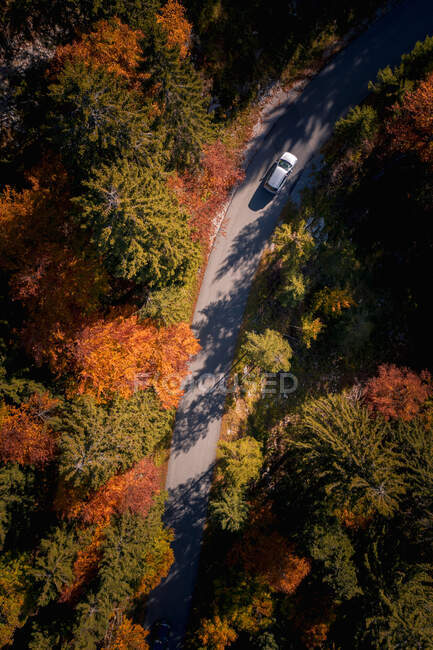 Повітряний вид на машину, що їде осіннім лісом (Зальцбург, Австрія). — стокове фото