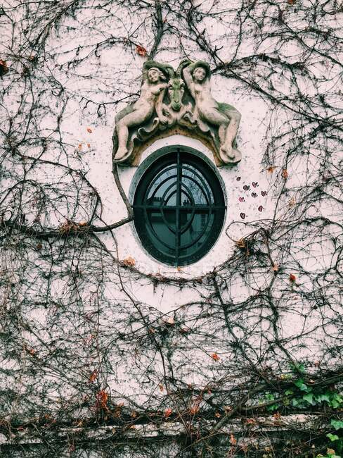 Nahaufnahme eines ovalen Fensters, Paris, Frankreich — Stockfoto