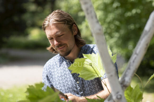 Man standing in a garden cutting back plants, Germany — Stock Photo