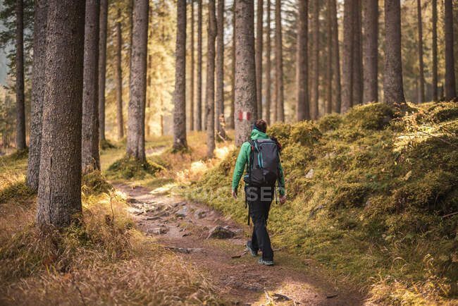 Mulher caminhando em uma floresta de outono, Bad Gastein, Salzburgo, Áustria — Fotografia de Stock