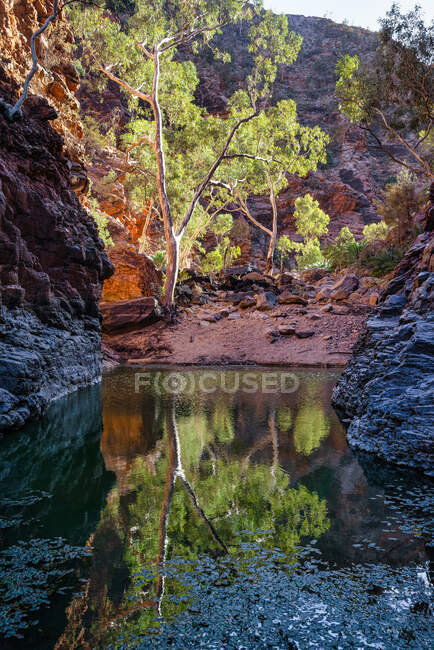 Serpentine Urge, West MacDonnell Range, Northern Territory, Australia — стокове фото