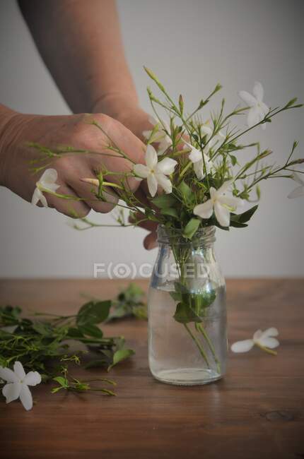 Жінка розставляє квіти у скляній вазі. — стокове фото