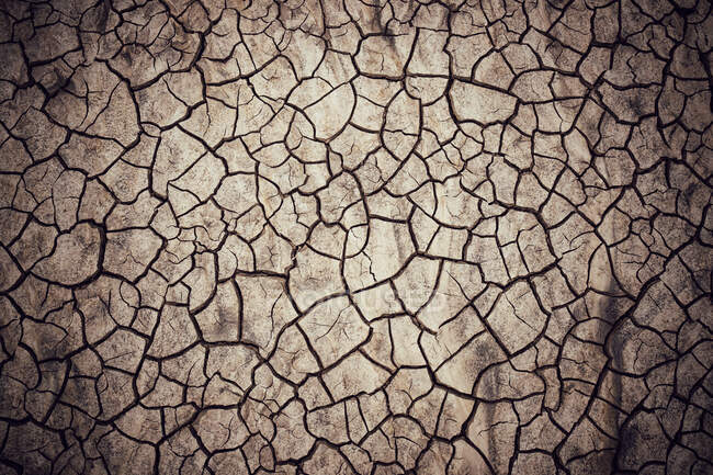 Primo piano di Cracked Dirt In Riverbed, De-Na-Zin Wilderness, Contea di San Juan, Nuovo Messico, Stati Uniti — Foto stock