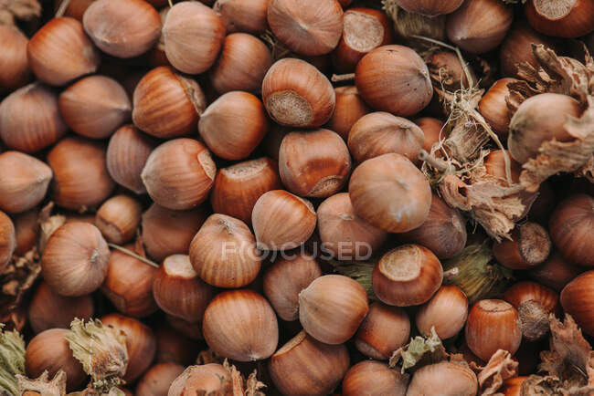 Pile of fresh hazelnuts, close-up — Stock Photo