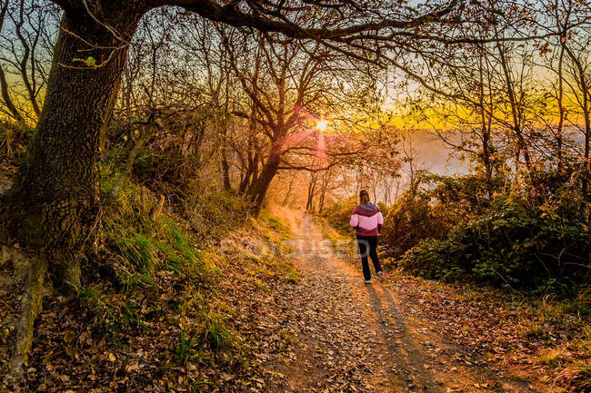 Woman walking in a forest at sunset, Gabicce Monte, Marche, Italy — Stock Photo