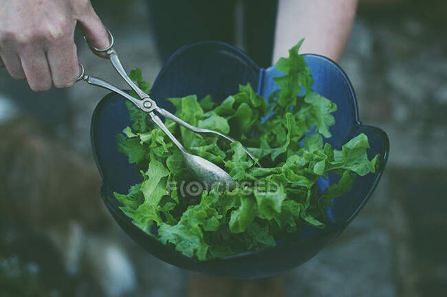 Woman serving fresh salad — Stock Photo