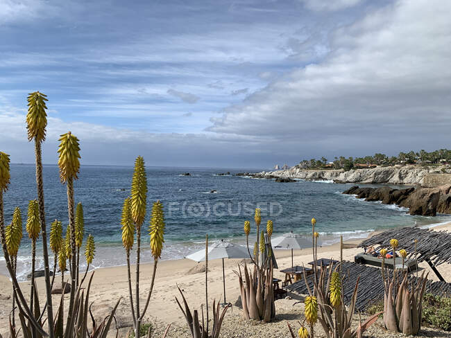 Belle plage tropicale, Mexique — Photo de stock