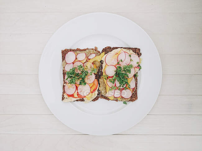 Sanduíches abertos com hummus, moutabal, pimentas, rabanetes e tomates — Fotografia de Stock