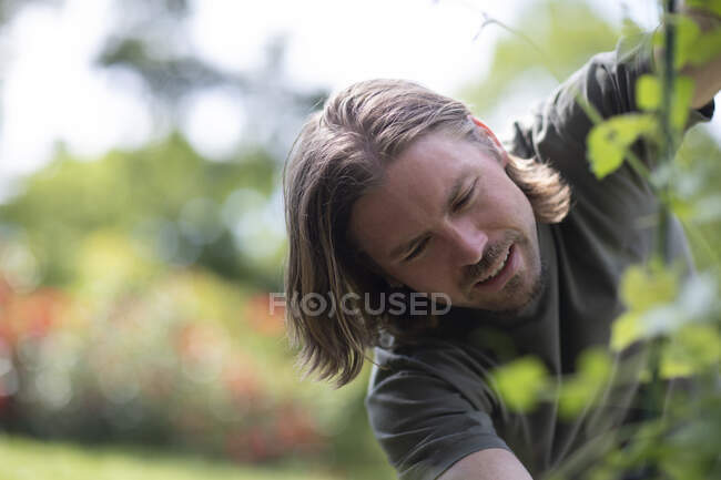 Mann steht in einem Garten und schneidet Pflanzen zurück — Stockfoto