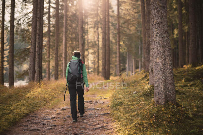 Woman hiking in an autumn forest, Bad Gastein, Salzburg, Austria — Stock Photo