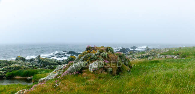 Прибрежный ландшафт, остров Арран, Шотландия, Великобритания — стоковое фото