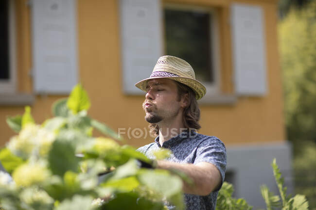 Uomo in piedi in un giardino tagliare le piante, Germania — Foto stock