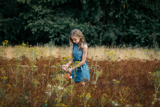 Menina de pé em um prado colhendo flores silvestres, Holanda — Fotografia de Stock