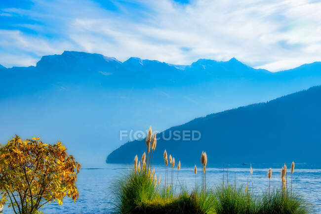 Красивый горный пейзаж, Швейцария — стоковое фото