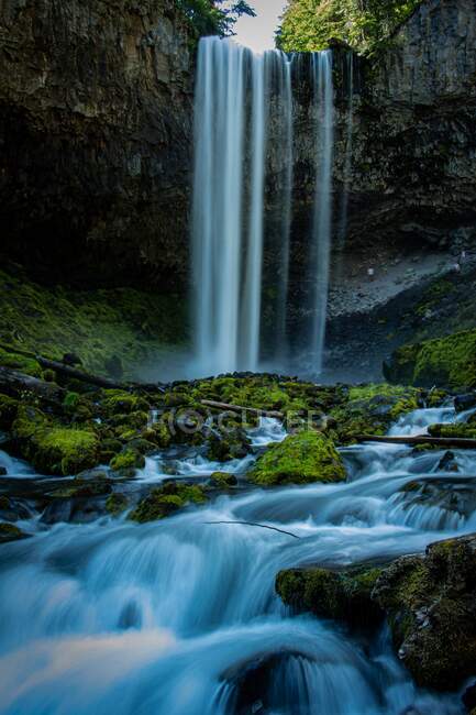 Primer plano de una cascada en un bosque, Oregon, Estados Unidos - foto de stock