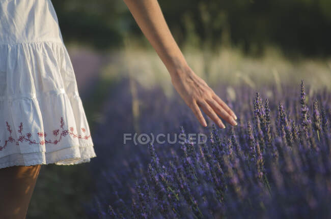 Погляд на дівчинку - підлітка, яка йде через лавандове поле (Прованс, Франція). — стокове фото