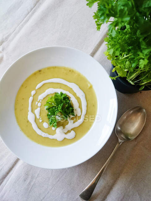 Cuenco de sopa de verduras con perejil fresco y crema - foto de stock