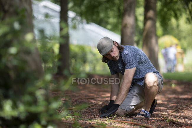 Uomo inginocchiato in un giardino giardinaggio, Germania — Foto stock