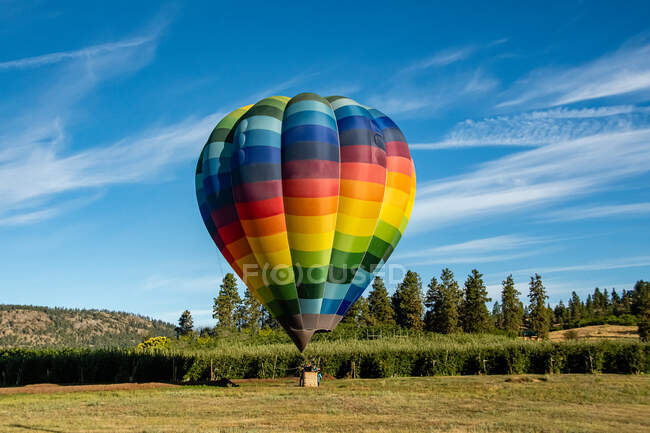 Hot air balloon in a field, British Columbia, Canada — Stock Photo