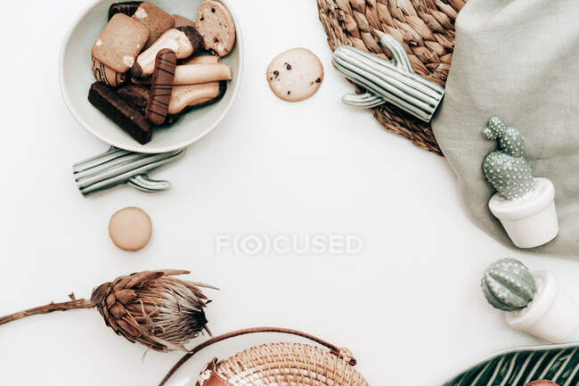 Cactos cerâmicos, biscoitos e uma flor de protea — Fotografia de Stock
