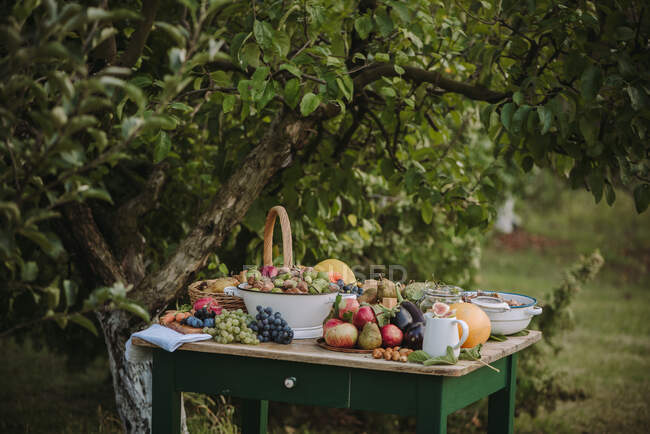 Outono Arranjo de frutas e vegetais em uma mesa de jardim, Sérvia — Fotografia de Stock