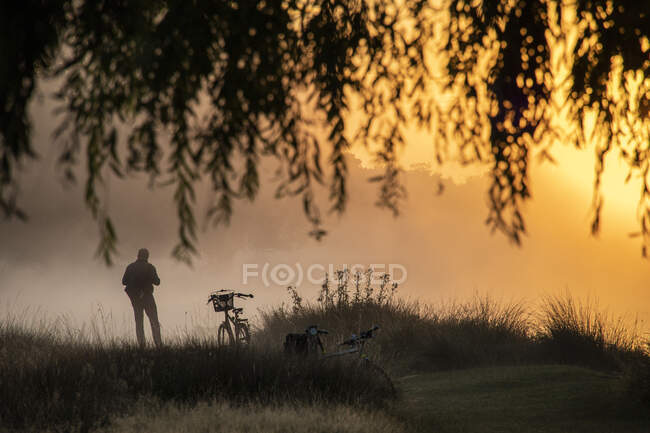 Silhueta de um homem ao pé de uma bicicleta ao pôr-do-sol, Bushy Park, Richmond Upon Thames, Reino Unido — Fotografia de Stock