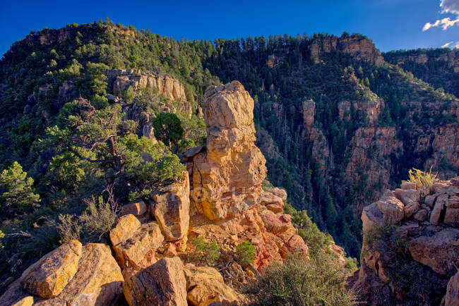 Captain 's Rock, South Rim, Grand Canyon, Arizona, Vereinigte Staaten — Stockfoto