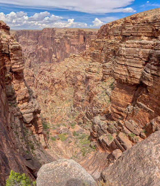 Маленька ущелина річки Колорадо поблизу Гранд - Каньйон (штат Арізона, США). — стокове фото