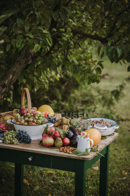 Mesa de jardim com frutas frescas, legumes e nozes — Fotografia de Stock