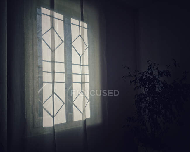 Close-up de uma cortina de rede e janela — Fotografia de Stock