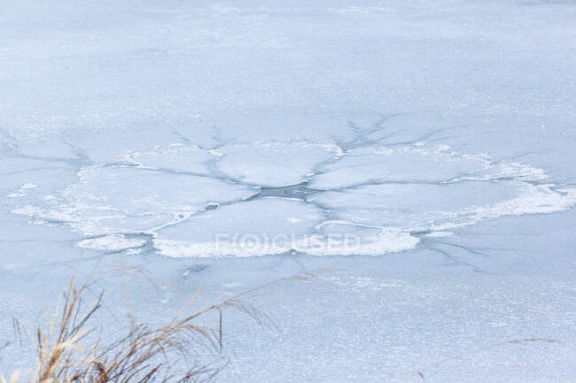 Scioglimento del ghiaccio nelle paludi, Grant Narrows, Pitt Meadows, Columbia Britannica, Canada — Foto stock