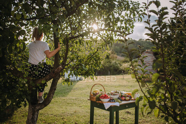 Woman sitting in a tree next to a table arranged with fruit and vegetables looking at sunset, Serbia — Stock Photo