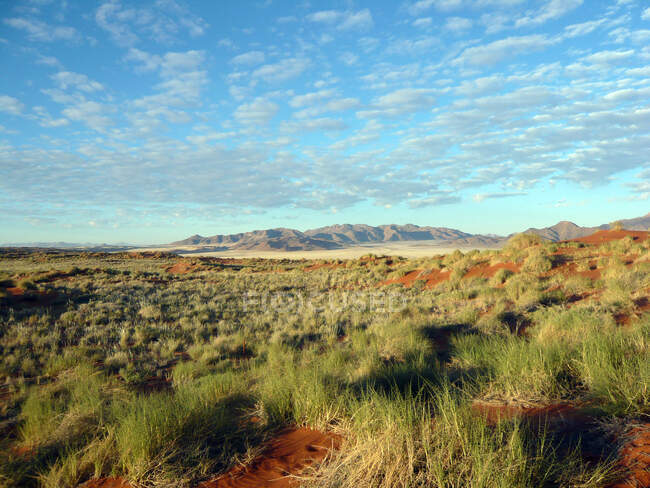 Hermoso paisaje del desierto, Namibia - foto de stock