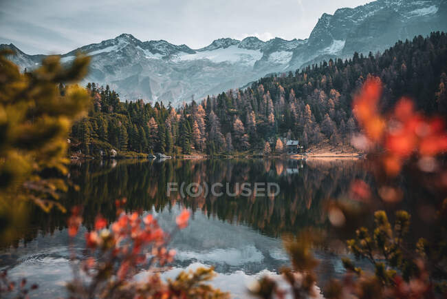 Waldhütte am Reedsee in den österreichischen Alpen, Bad Gastein, Salzburg, Österreich — Stockfoto