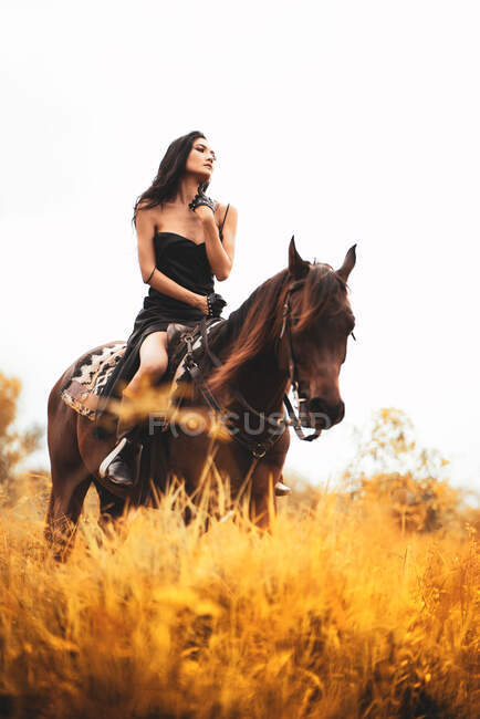 Женщина верхом на лошади на лугу, Таиланд — стоковое фото