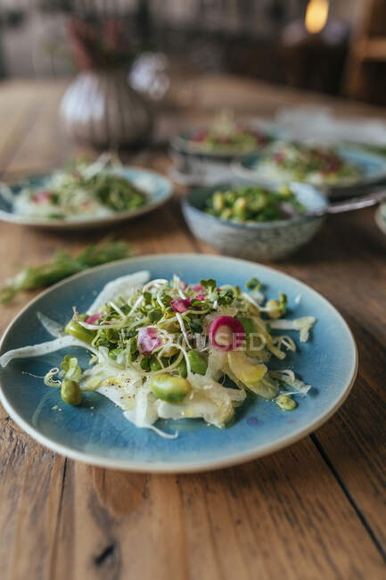 Radish salads with red onion, edamame beans and bean sprouts — Stock Photo