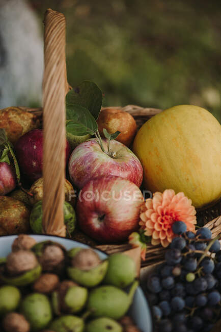 Cesta con manzanas, calabaza, nueces y uvas en una mesa de jardín, Serbia — Stock Photo