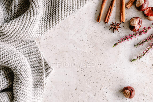 Pullover neben Gewürzen, Blumen und Conker — Stockfoto