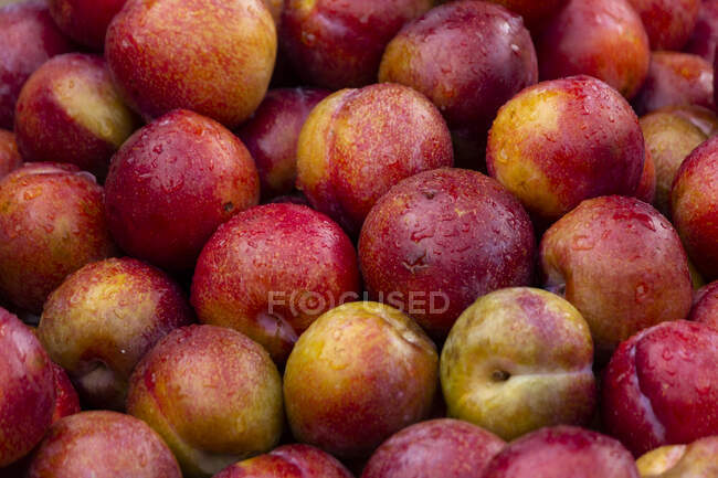 Close-up of red plums at a street market, Indonesia — Stock Photo