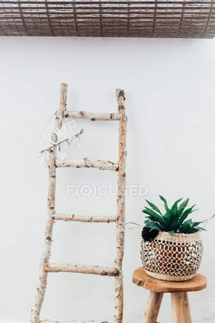 Домашний знак висит на деревянной лестнице рядом с горшком для растений на стуле — стоковое фото