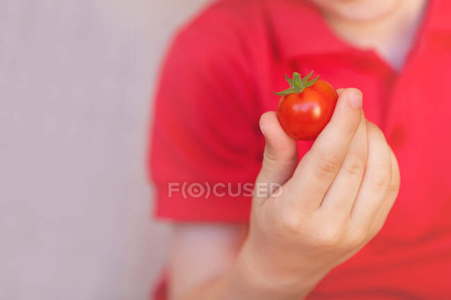 Garçon tenant une tomate — Photo de stock
