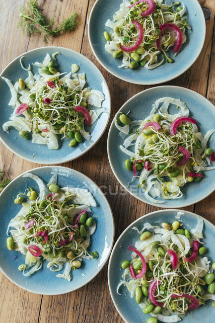 Five plates of radish salad with red onion, edamame beans and bean sprouts — Stock Photo