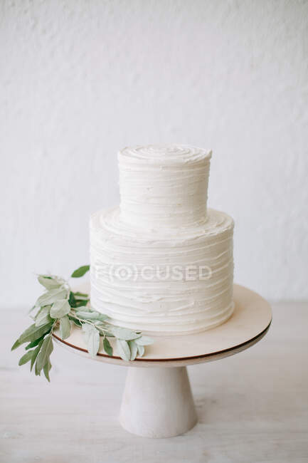 Simple two tiered wedding cake with icing and olive branch decoration — Stock Photo
