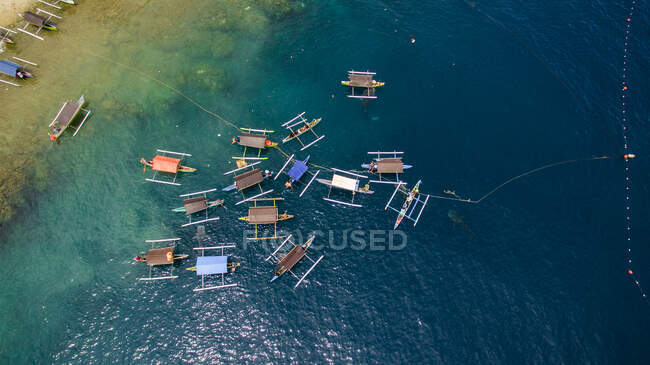 Vista aérea de la gente navegando en barcos tradicionales mirando a tres tiburones ballena, Gorontalo, Indonesia - foto de stock