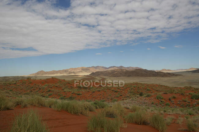 Paisagem do deserto, Parque Nacional Namib-Naukluft, Namíbia — Fotografia de Stock