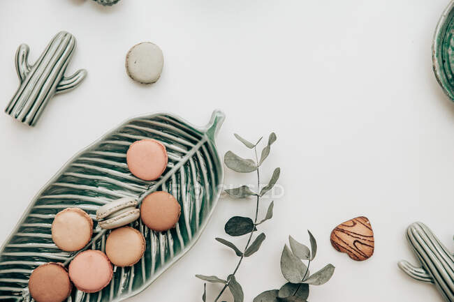 Macarons sur une assiette à côté de catci décorations et une branche d'eucalyptus — Photo de stock