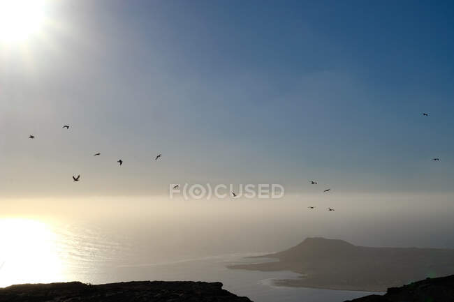 Uccelli che sorvolano la costa, Lanzarote, Isole Canarie, Spagna — Foto stock